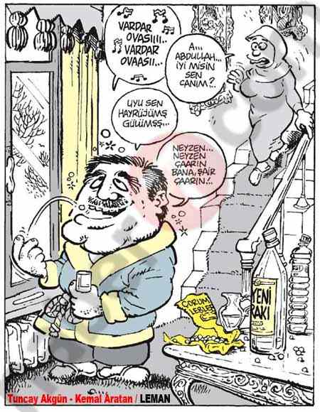 Leman'dan Gül'ü kızdıracak karikatür!