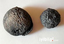 2400 yıllık mezardan 'ölünün son yemeği' bozulmamış incirler çıktı  
