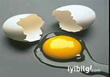 Yumurta kilo verdiriyor!
