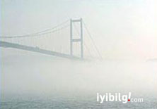 İstanbul'u sis hayatı felç etti  

