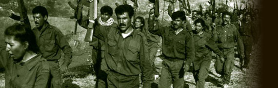 PKK'nın korkunç planı deşifre oldu 
