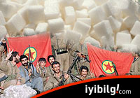 PKK 1 milyon ton kaçak şeker getiriyor