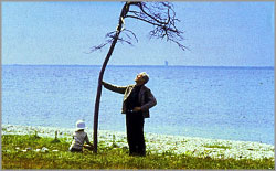 Tarkovski’de savaş ve kurban: Kıyamet ağacı
