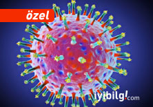 Domuz gribini mutad grip aşısı mı tetikledi?