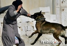 'Allahuekber' diyeni ısırması için eğitilen köpek
