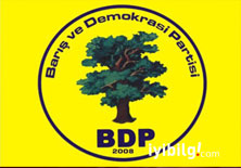 BDP genel başkanını seçti