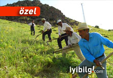 Türkiye'de çiftçilik bitiyor mu?