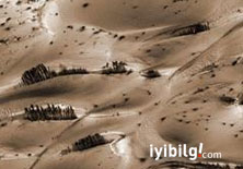 Mars'ta fosil izi