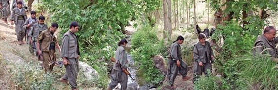 Esad'ın PKK'lı askerleri