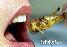 BM'den açlığa şok çözüm: Böcek yiyin!