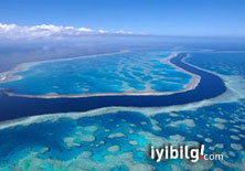Büyük Mercan Resifine 4 bomba