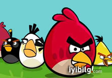 Angry Birds tutkunları dikkat!