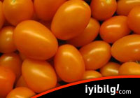ABD “turuncu” domates yetiştirdi!