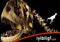 150 milyon yıllık dinozor izi