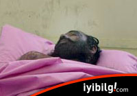 Taliban komutanı Dadullah öldürüldü