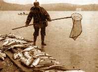 Balıkçılar sezona 'bereketli' başladı