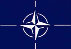 NATO operasyon yaptı, Afganistan karıştı