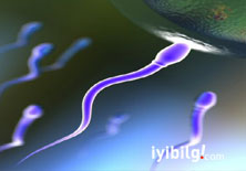 Cüret ve kibir: Yapay sperm