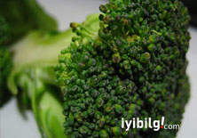 Brokoli akciğerdeki hasarı azaltıyor!