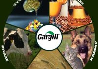 Cargill'i kurtarma operasyonu başladı!