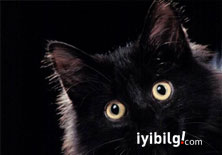 İşte günlük hayatımızdaki hurafeler listesi!
