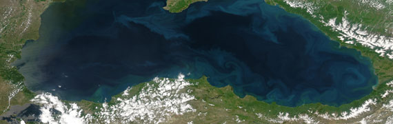 Karadeniz'de sular ısınıyor