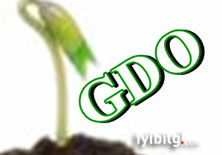 Türkiye'de 900 GDO'lu ürün var iddiası