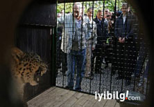 Putin bu kez leoparlarla birlikte